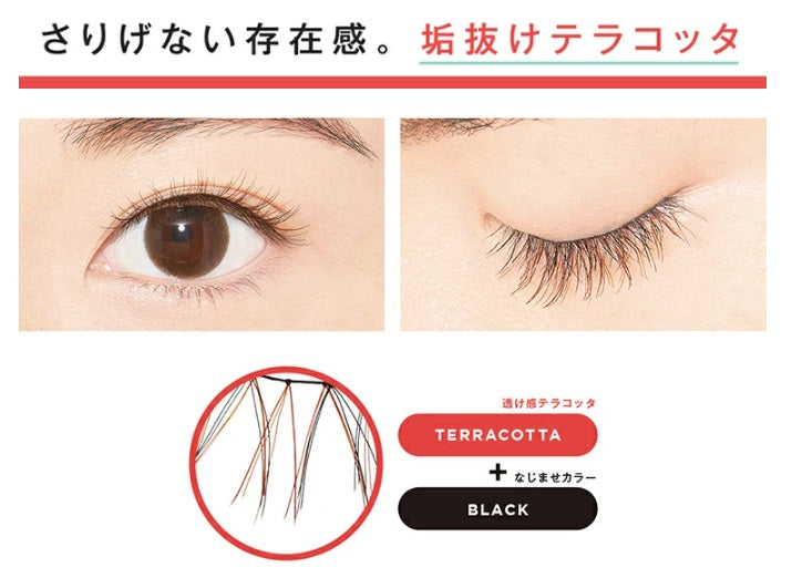 【メール便可】D-UP dup ディーアップ アイラッシュ つけまつげ COLOR LASH カラーラッシュ